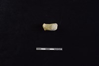 陶把藏品圖，第2張